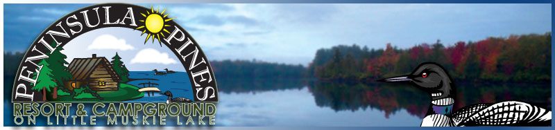 Peninsula Pines Resort is on Little Muskie Lake near Springstead and Mercer, WI